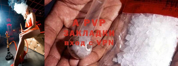 ГАЛЛЮЦИНОГЕННЫЕ ГРИБЫ Майский