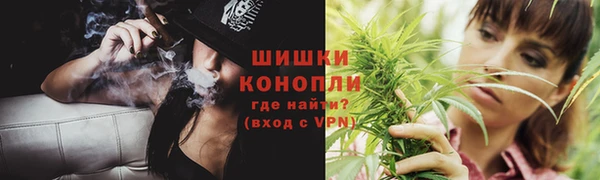 ГАЛЛЮЦИНОГЕННЫЕ ГРИБЫ Майский