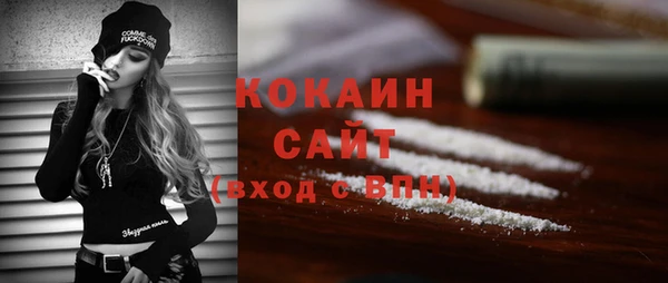 стаф Магас