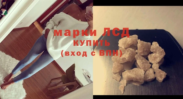 стаф Магас