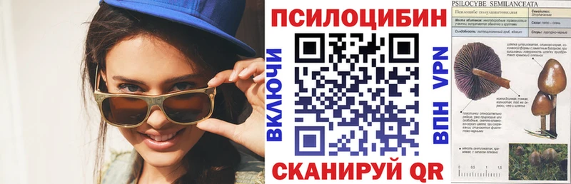 как найти закладки  Харовск  Псилоцибиновые грибы Cubensis 
